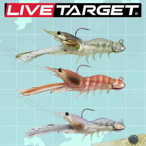 LIVETARGET 3.5in Fleeing Shrimp 13/8 OZ