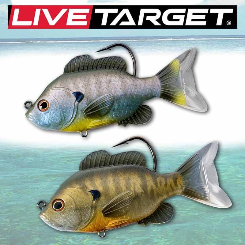 LIVETARGET 3.5in Sunfish 1/2 OZ Swimbait – Capt. Harry's Fishing
