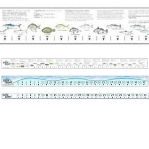 FS50 Boat Decal Ruler with Florida Rules