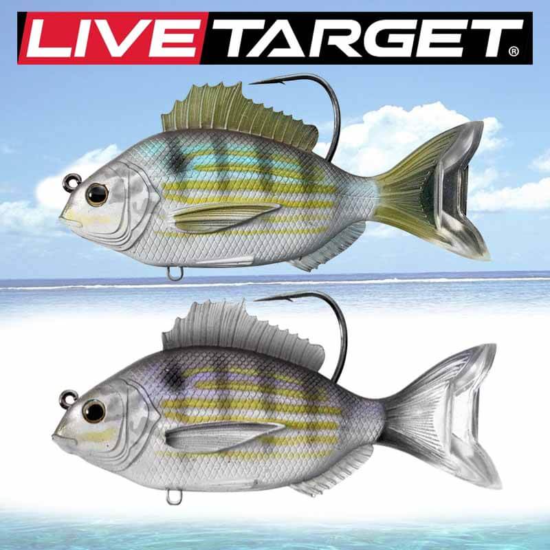 LIVETARGET 3.5in Pinfish Soft Sinking Lure – Capt. Harry's Fishing