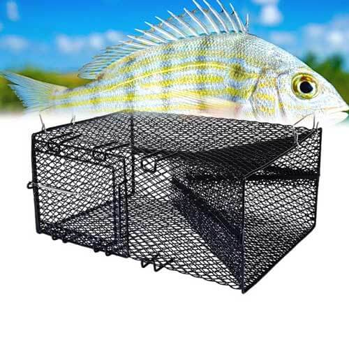 Plano Black Pinfish Trap 18In X 12In X 8In Rectangular – Capt. Harry's  Fishing Supply