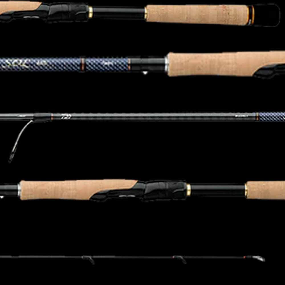 dawa fishing poles Daiwa SOLAGS76HFS SOL AGS Inshore Spinning Rod