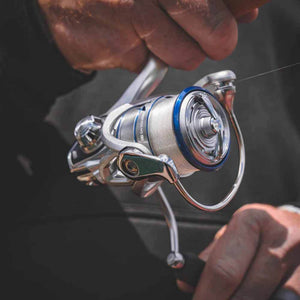 Daiwa Procyon MQ Lt Spinning Reel