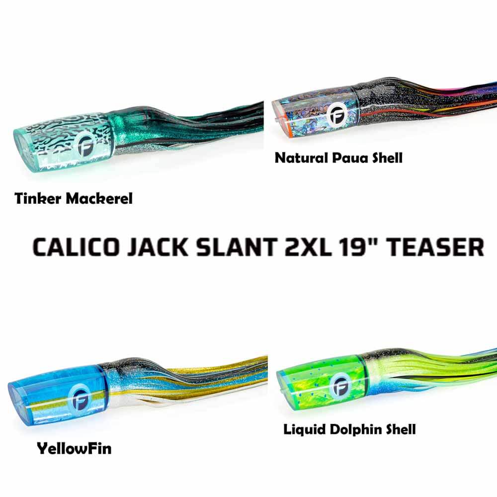 calico jack fishing reels Fathom Offshore Slant 2XL 19