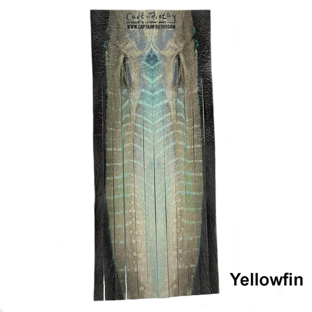 Frothy De Silva A La Vive Medium Vinyl Skirts – Harry's