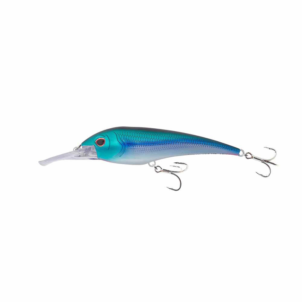 Nomad DTX Minnow 180 HD Lure – Capt. Harry's Fishing Supply