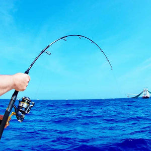 Nomad NDT Heavy Jigging Spinning Rod NJS