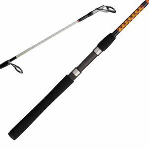 Ugly Stik Bigwater Spinning Rod
