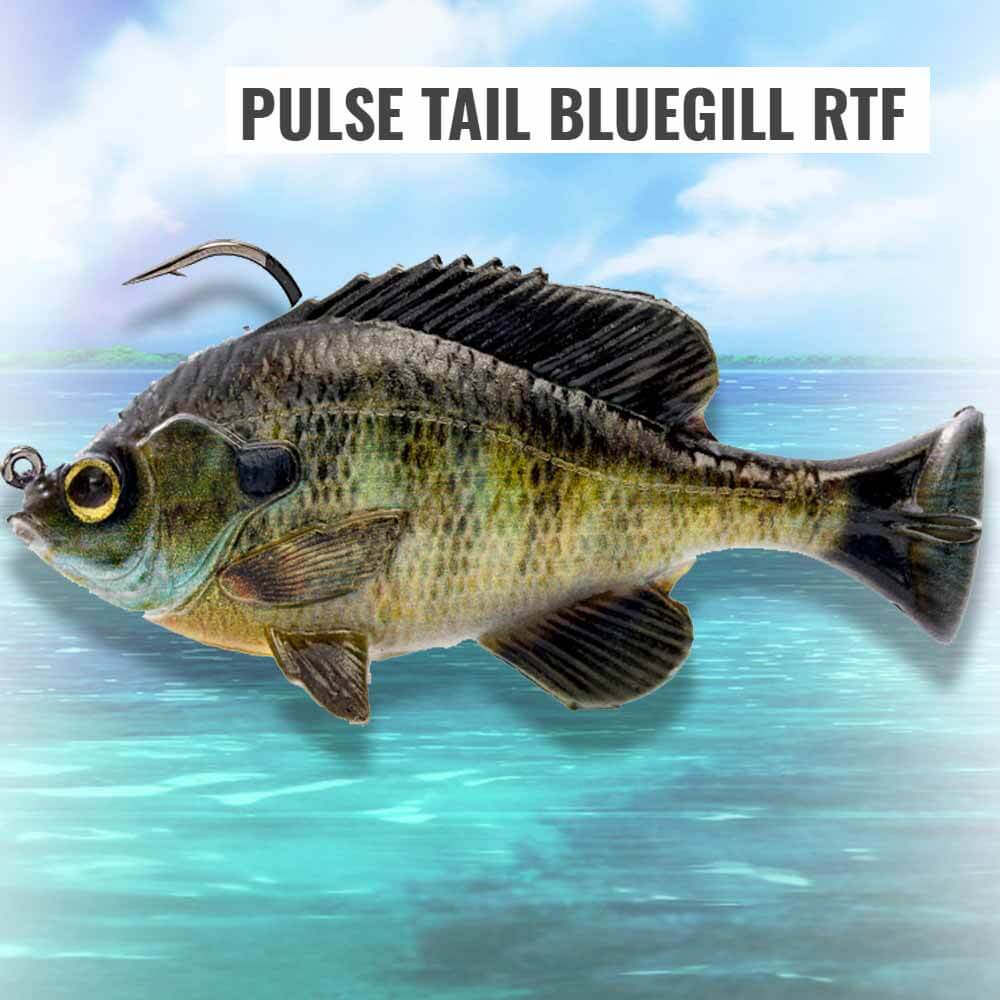 Savage Gear 4IN Pulse Tail Bluegill RTF Lure – Capt. Harry's Fishing Supply