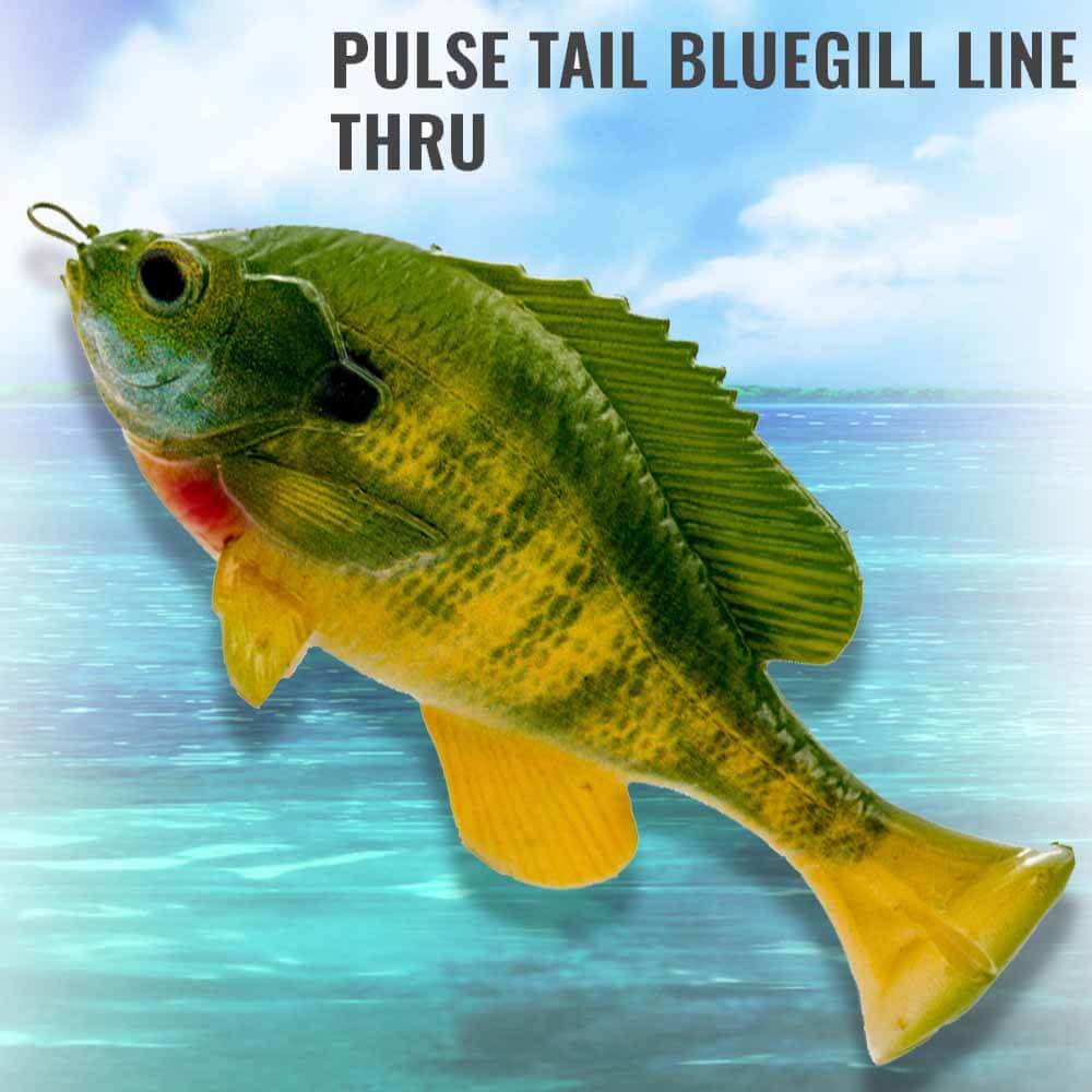 Savage Gear 5IN Pulse Tail Bluegill Line Thru Lure – Capt. Harry's Fishing  Supply