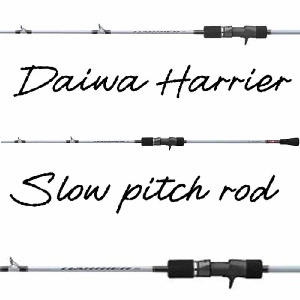 Daiwa 6' 6 Harrier Slow Pitch Jigging Series Rods - Capt. Harry's – Capt.  Harry's Fishing Supply