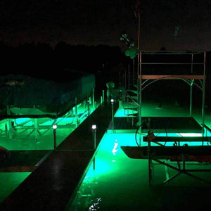 HydroGlow DockMaster DM260G 4FT Green Fishing LED light 120V