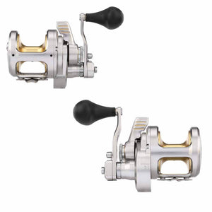 Shimano Talica A Conventional Reels – Capt. Harry's Fishing Supply