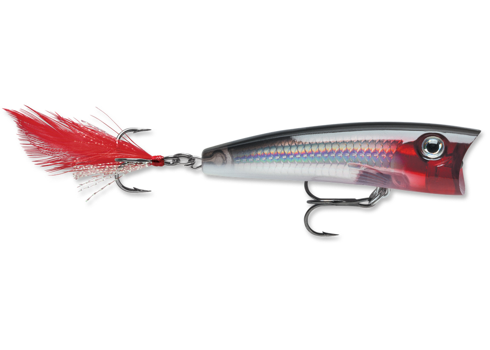 Rapala X-Rap Xtreme Action Popper Pearl Grey Shiner 7cm 11g - Angling  Centre West Bay